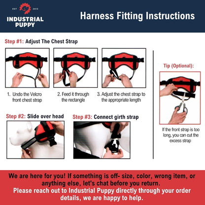 Professional Service Dog Vest and Leash Set with Adjustable Hook and Loop Straps - Available in Sizes XXS to XXL - Features Reflective Patch and Breathable Mesh Design