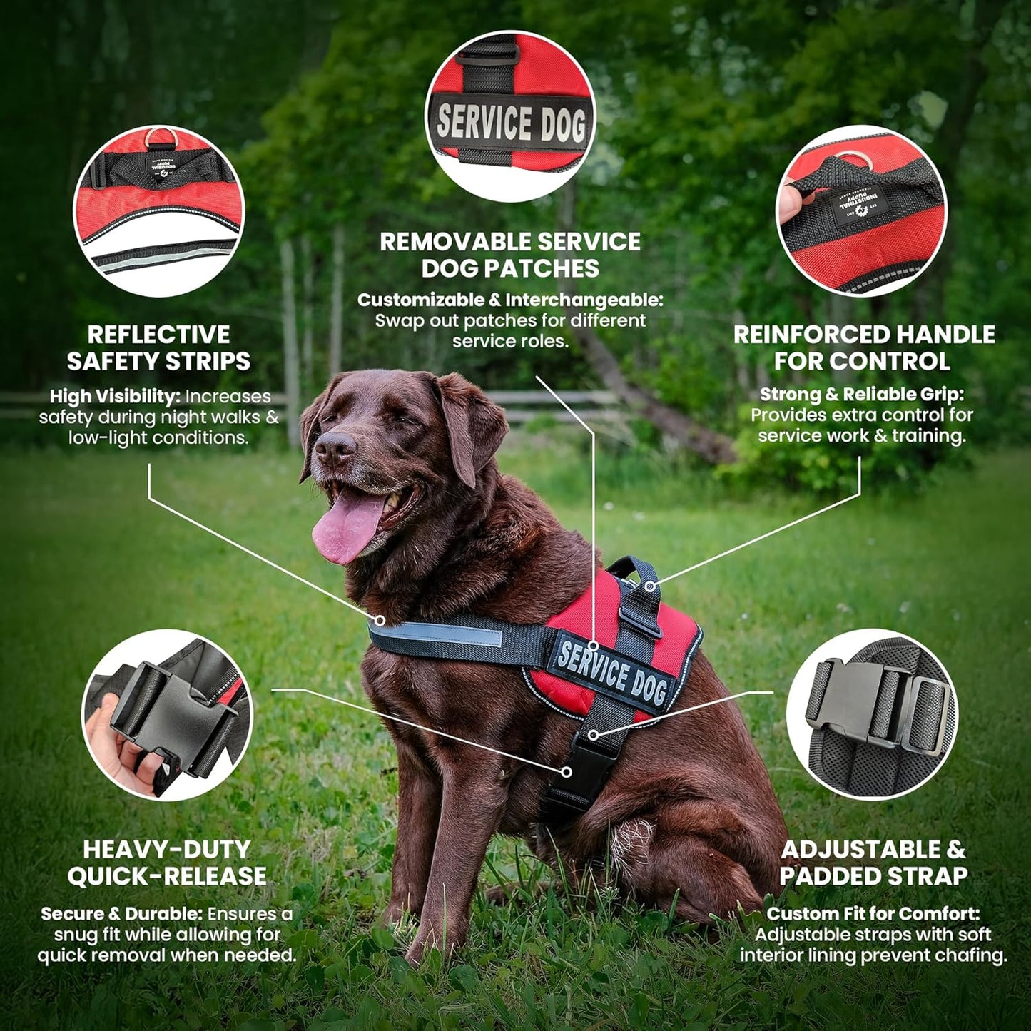 Professional Service Dog Vest and Leash Set with Adjustable Hook and Loop Straps - Available in Sizes XXS to XXL - Features Reflective Patch and Breathable Mesh Design