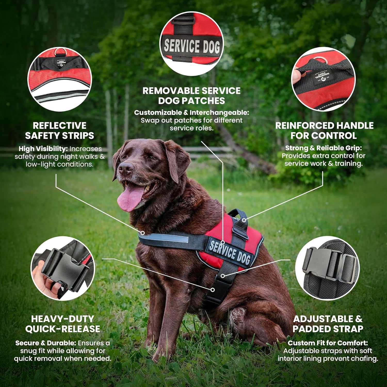 Professional Service Dog Vest and Leash Set with Adjustable Hook and Loop Straps - Available in Sizes XXS to XXL - Features Reflective Patch and Breathable Mesh Design