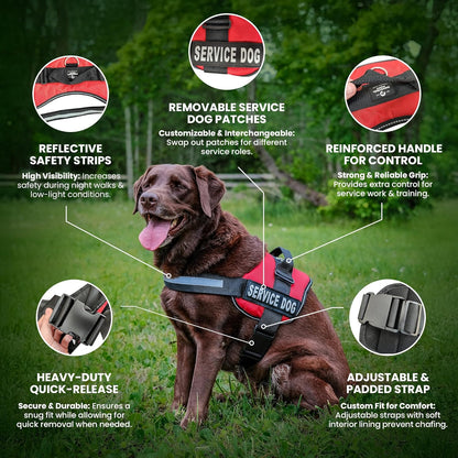 Professional Service Dog Vest and Leash Set with Adjustable Hook and Loop Straps - Available in Sizes XXS to XXL - Features Reflective Patch and Breathable Mesh Design