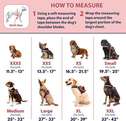 Professional Service Dog Vest and Leash Set with Adjustable Hook and Loop Straps - Available in Sizes XXS to XXL - Features Reflective Patch and Breathable Mesh Design